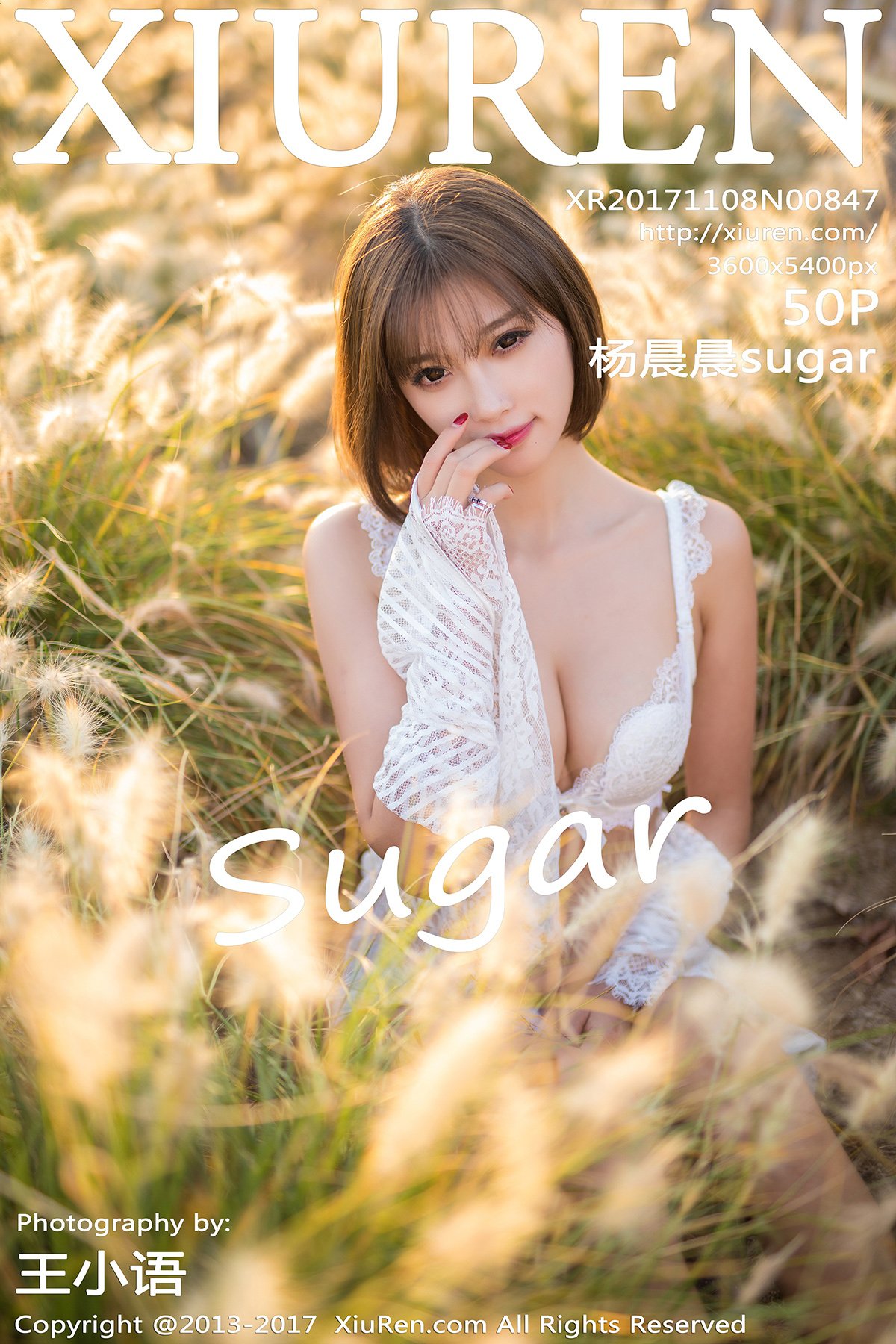 [XIUREN秀人网] 2017.11.08 No.847 杨晨晨sugar [50P-178MB]